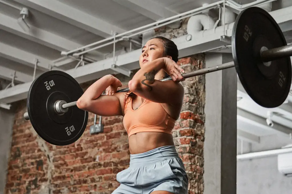 UA Lookbook