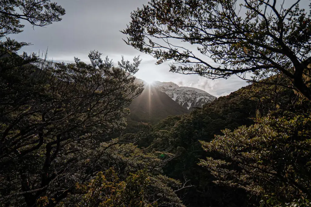 New Zealand